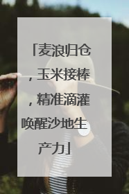 麦浪归仓，玉米接棒，精准滴灌唤醒沙地生产力
