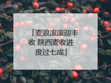 麦浪滚滚迎丰收 陕西麦收进度过七成