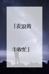 麦浪黄 丰收忙