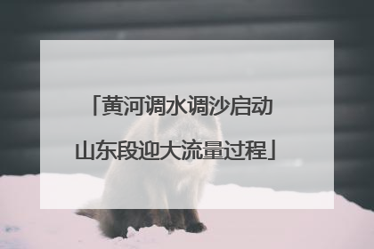 黄河调水调沙启动 山东段迎大流量过程