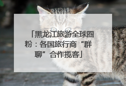 黑龙江旅游全球圈粉：各国旅行商“群聊”合作揽客