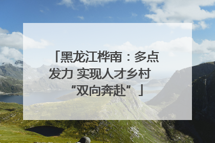 黑龙江桦南：多点发力 实现人才乡村“双向奔赴”