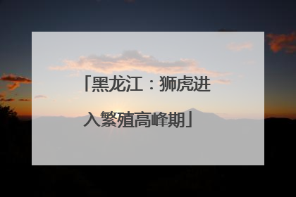黑龙江：狮虎进入繁殖高峰期