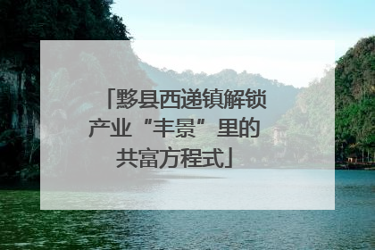 黟县西递镇解锁产业“丰景”里的共富方程式