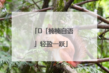 ﻿「楠楠自语」轻盈一跃