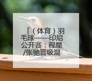 （体育）羽毛球——印尼公开赛：程星/张驰晋级混双八强