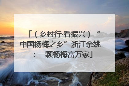 （乡村行·看振兴）“中国杨梅之乡”浙江余姚：一颗杨梅富万家