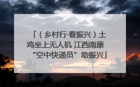 （乡村行·看振兴）土鸡坐上无人机 江西南康“空中快递员”助振兴