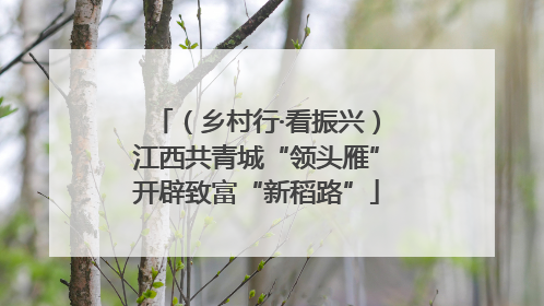 （乡村行·看振兴）江西共青城“领头雁”开辟致富“新稻路”