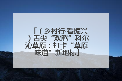 （乡村行·看振兴）舌尖“欢腾”科尔沁草原：打卡“草原味道”新地标