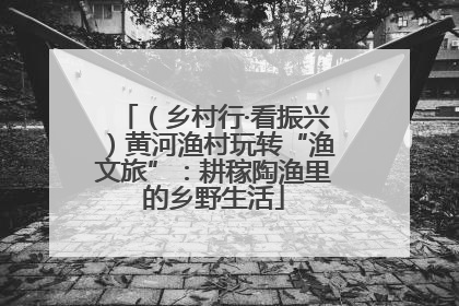 （乡村行·看振兴）黄河渔村玩转“渔文旅”：耕稼陶渔里的乡野生活