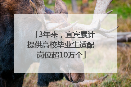 3年来，宜宾累计提供高校毕业生适配岗位超10万个
