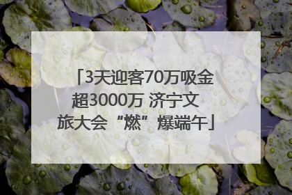 3天迎客70万吸金超3000万 济宁文旅大会“燃”爆端午