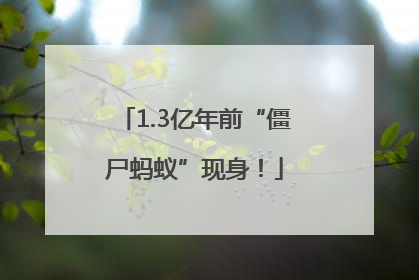1.3亿年前“僵尸蚂蚁”现身！