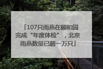 107只雨燕在颐和园完成“年度体检”，北京雨燕数量已超一万只