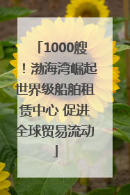 1000艘！渤海湾崛起世界级船舶租赁中心 促进全球贸易流动