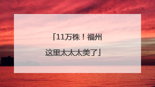 11万株！福州这里太太太美了
