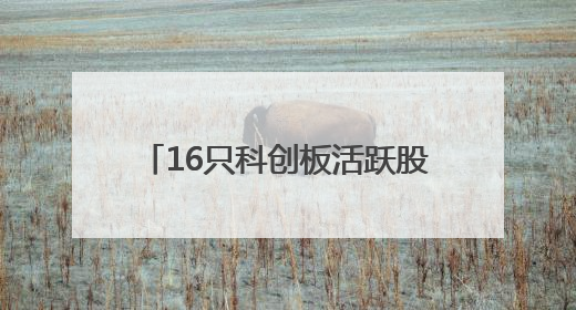 16只科创板活跃股获主力资金净流入