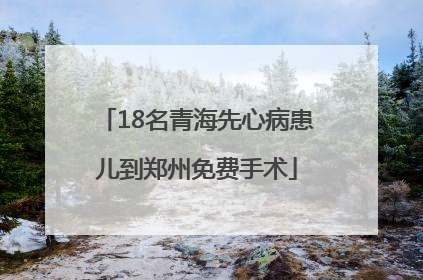 18名青海先心病患儿到郑州免费手术