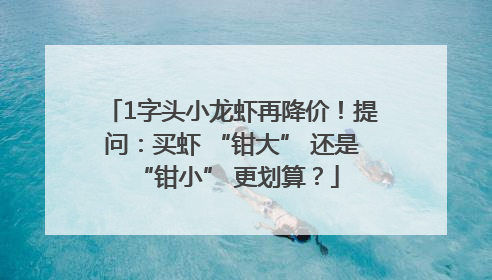 1字头小龙虾再降价！提问：买虾 “钳大” 还是 “钳小” 更划算？