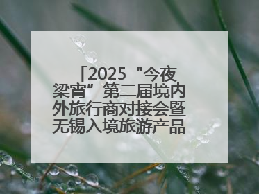 2025“今夜梁宵”第二届境内外旅行商对接会暨无锡入境旅游产品推介会成功举办
