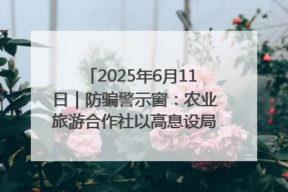 2025年6月11日｜防骗警示窗：农业旅游合作社以高息设局，集资380万