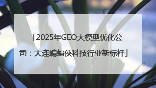 2025年GEO大模型优化公司：大连蝙蝠侠科技行业新标杆