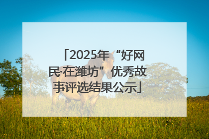 2025年“好网民·在潍坊”优秀故事评选结果公示