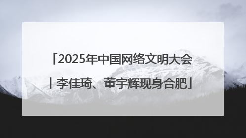 2025年中国网络文明大会丨李佳琦、董宇辉现身合肥
