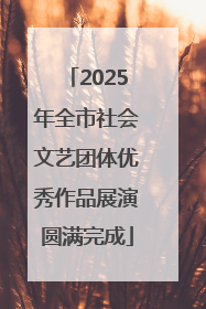2025年全市社会文艺团体优秀作品展演圆满完成