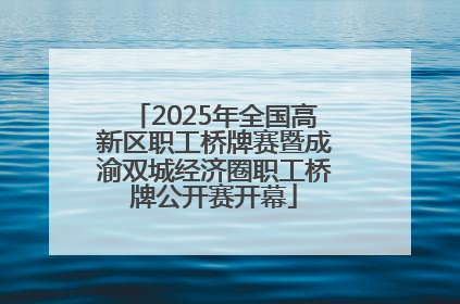 2025年全国高新区职工桥牌赛暨成渝双城经济圈职工桥牌公开赛开幕