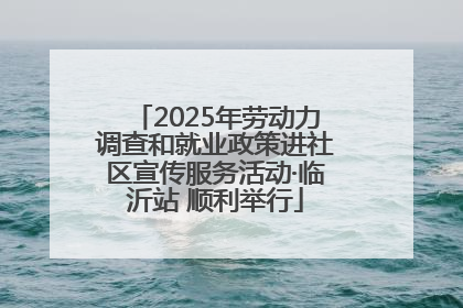 2025年劳动力调查和就业政策进社区宣传服务活动·临沂站 顺利举行