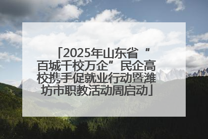 2025年山东省“百城千校万企”民企高校携手促就业行动暨潍坊市职教活动周启动