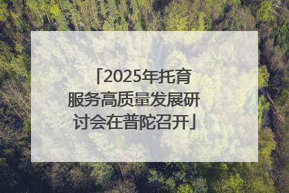 2025年托育服务高质量发展研讨会在普陀召开