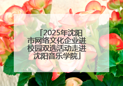 2025年沈阳市网络文化企业进校园双选活动走进沈阳音乐学院