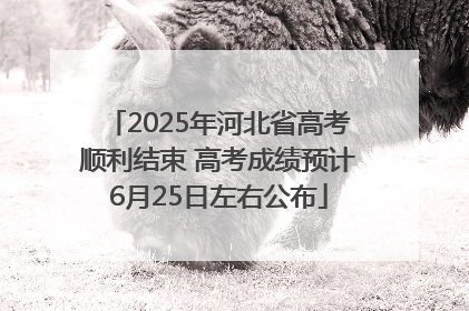 2025年河北省高考顺利结束 高考成绩预计6月25日左右公布