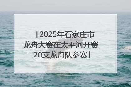 2025年石家庄市龙舟大赛在太平河开赛 20支龙舟队参赛