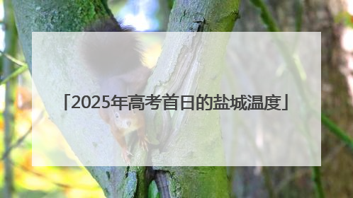 2025年高考首日的盐城温度