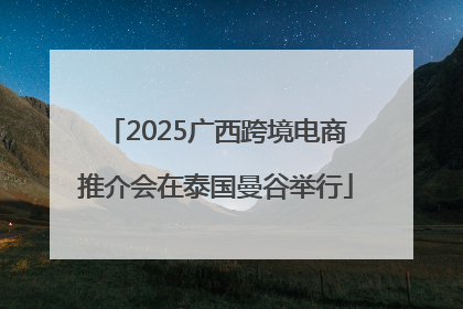 2025广西跨境电商推介会在泰国曼谷举行