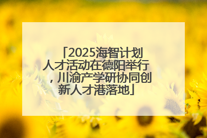 2025海智计划人才活动在德阳举行，川渝产学研协同创新人才港落地