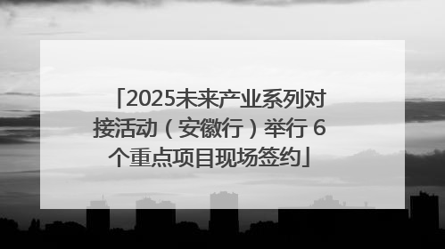 2025未来产业系列对接活动（安徽行）举行 6个重点项目现场签约