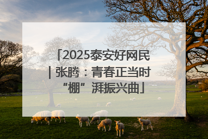 2025泰安好网民｜张腾：青春正当时 “棚”湃振兴曲