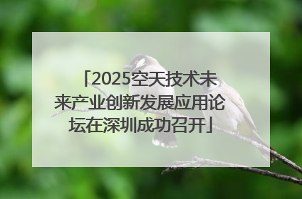 2025空天技术未来产业创新发展应用论坛在深圳成功召开
