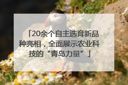 20余个自主选育新品种亮相，全面展示农业科技的“青岛力量”