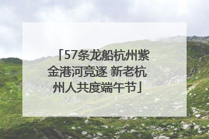 57条龙船杭州紫金港河竞逐 新老杭州人共度端午节