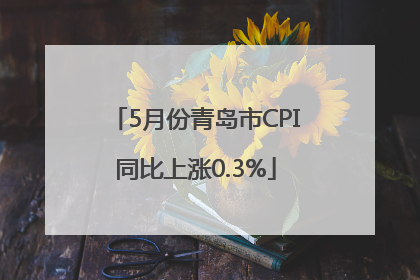 5月份青岛市CPI同比上涨0.3%