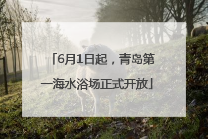 6月1日起，青岛第一海水浴场正式开放