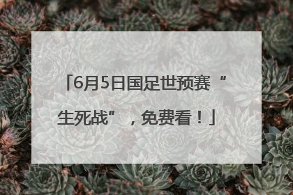 6月5日国足世预赛“生死战”，免费看！