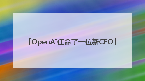OpenAI任命了一位新CEO