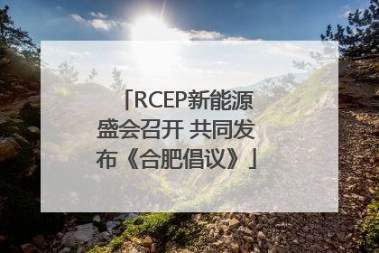 RCEP新能源盛会召开 共同发布《合肥倡议》